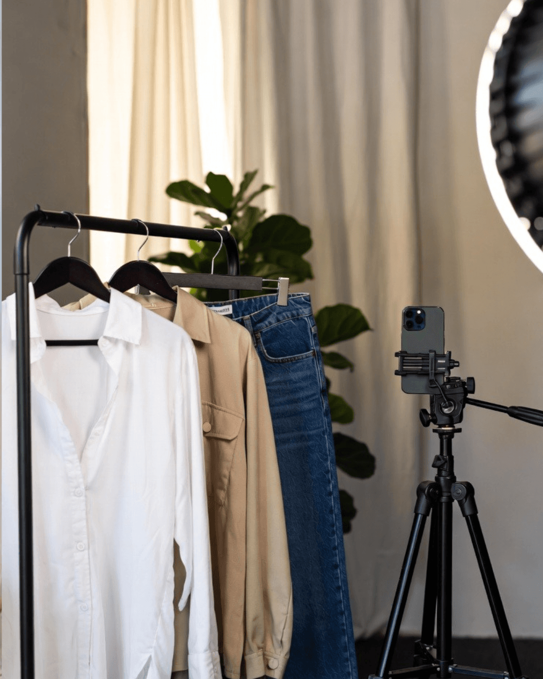 Contenido para Marcas